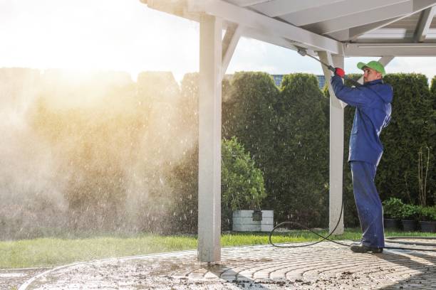 Best Driveway Cleaning and Restoration in Raeford, NC